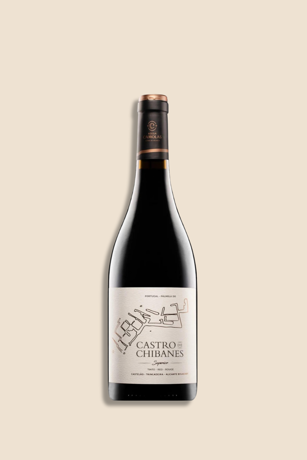 CASTRO DE CHIBANES 2019
