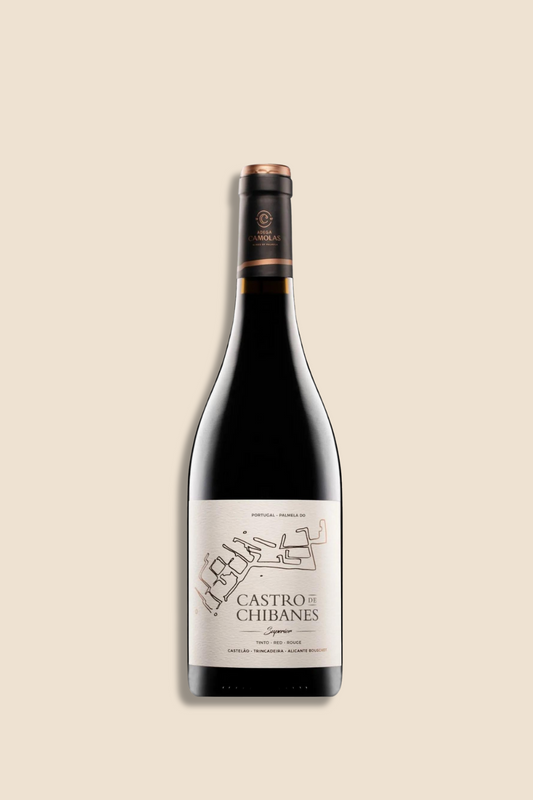 CASTRO DE CHIBANES 2019